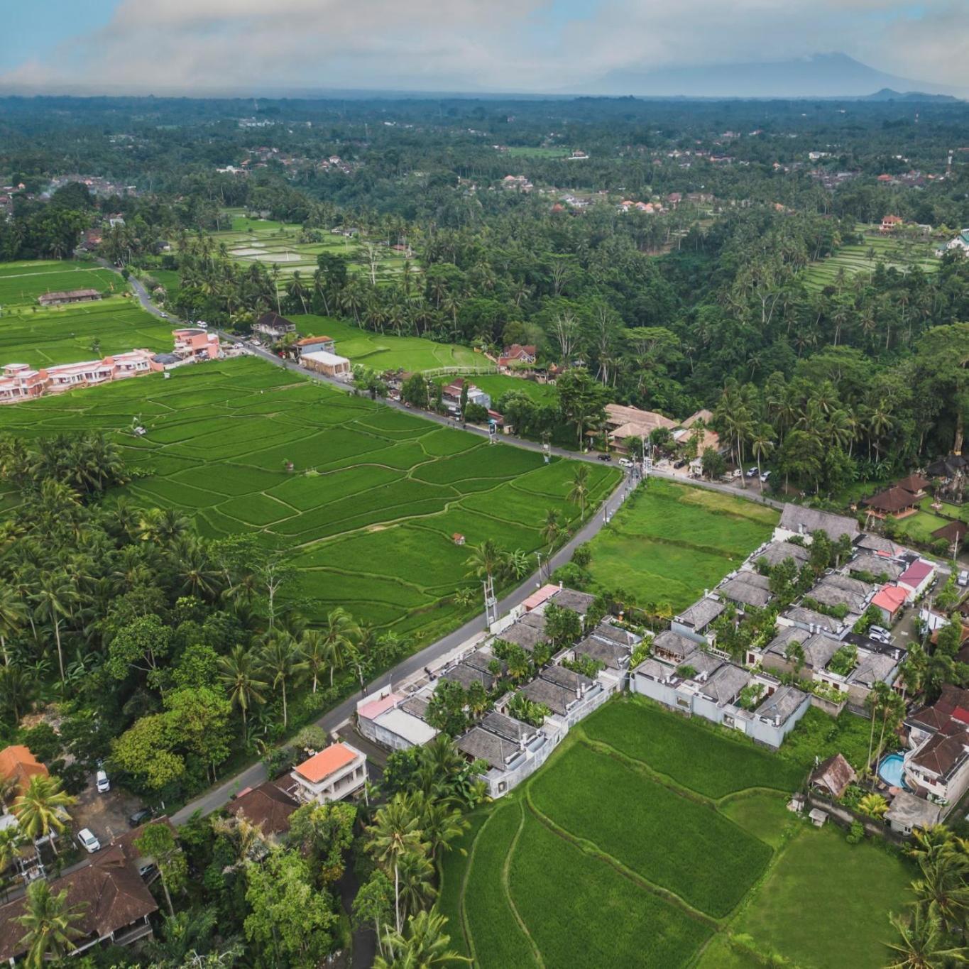 อัสวารา วิลลา อูบุด Villa ภายนอก รูปภาพ